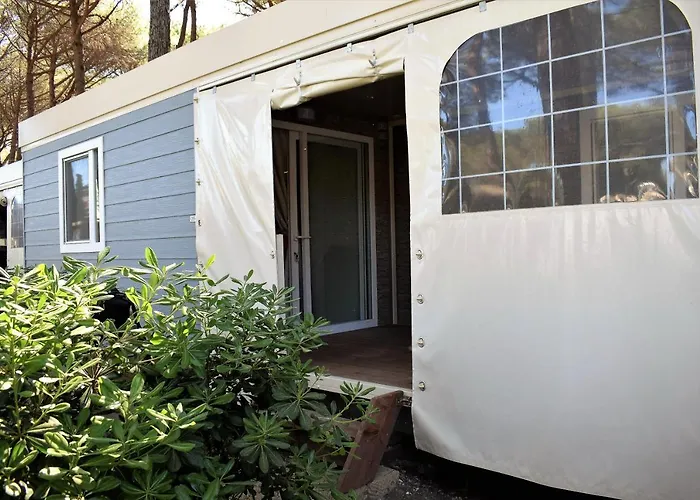 Parque de Campismo Free