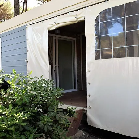 Campsite Free