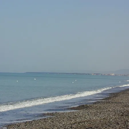 Kamp alanı Free