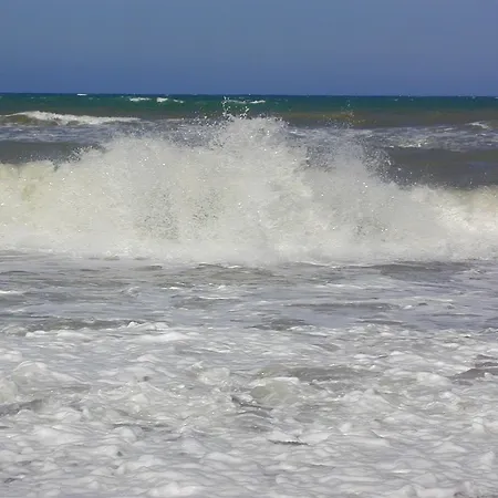 Free