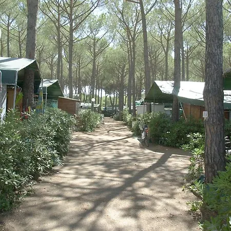 Free Marina Di Bibbona