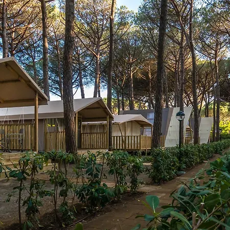 Campsite Free 3*