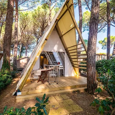 Campsite Free 3*