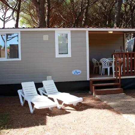 Campsite Free
